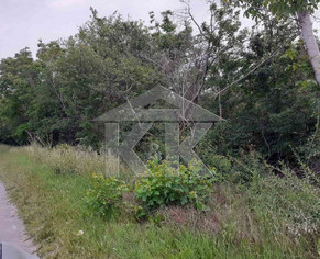 ЕКСКЛУЗИВНО! ЗЕМЕДЕЛСКА ЗЕМЯ С ЛИЦЕ НА МАГИСТРАЛА ХЕМУС!